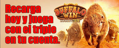 Recarga Diaria Energética promotion